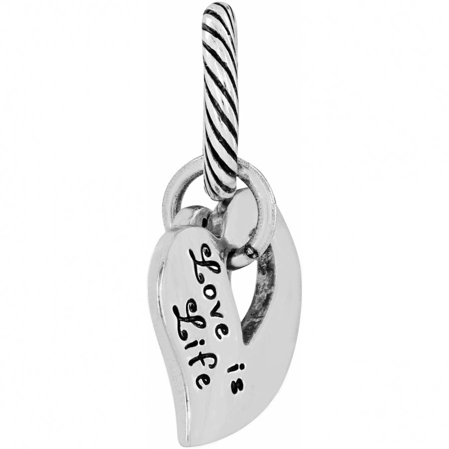 2017 Charm silver 2