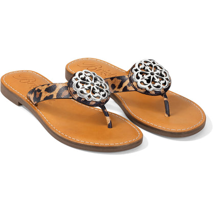 Brighton thong sandals with leopard print straps and silver-tone medallion accents on a white background