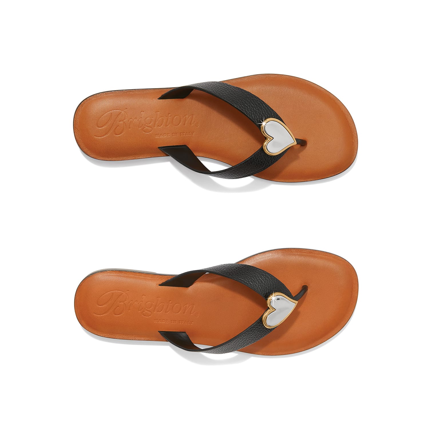 Amigo Flat Thongs - Brighton