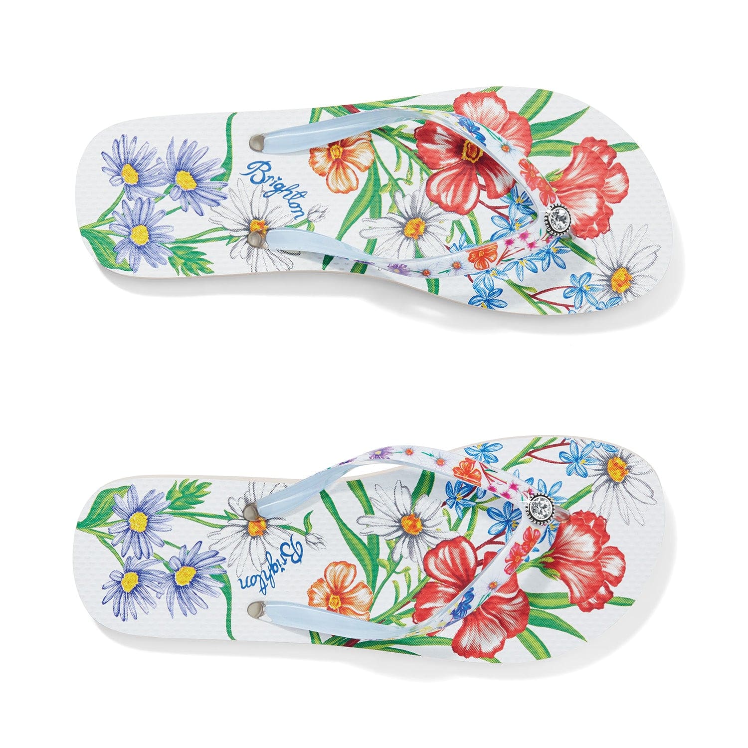 Aussie Flip Flops multi 3
