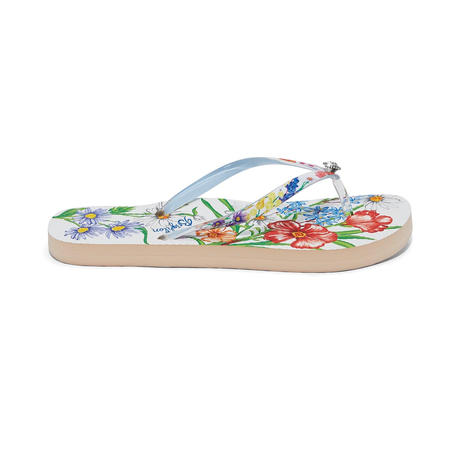Aussie Flip Flops multi 4