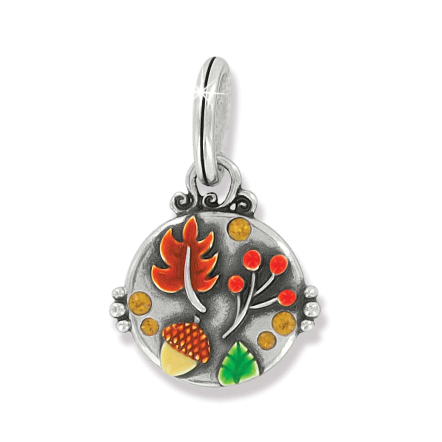 Autumn Blessings Charm silver-multi 1
