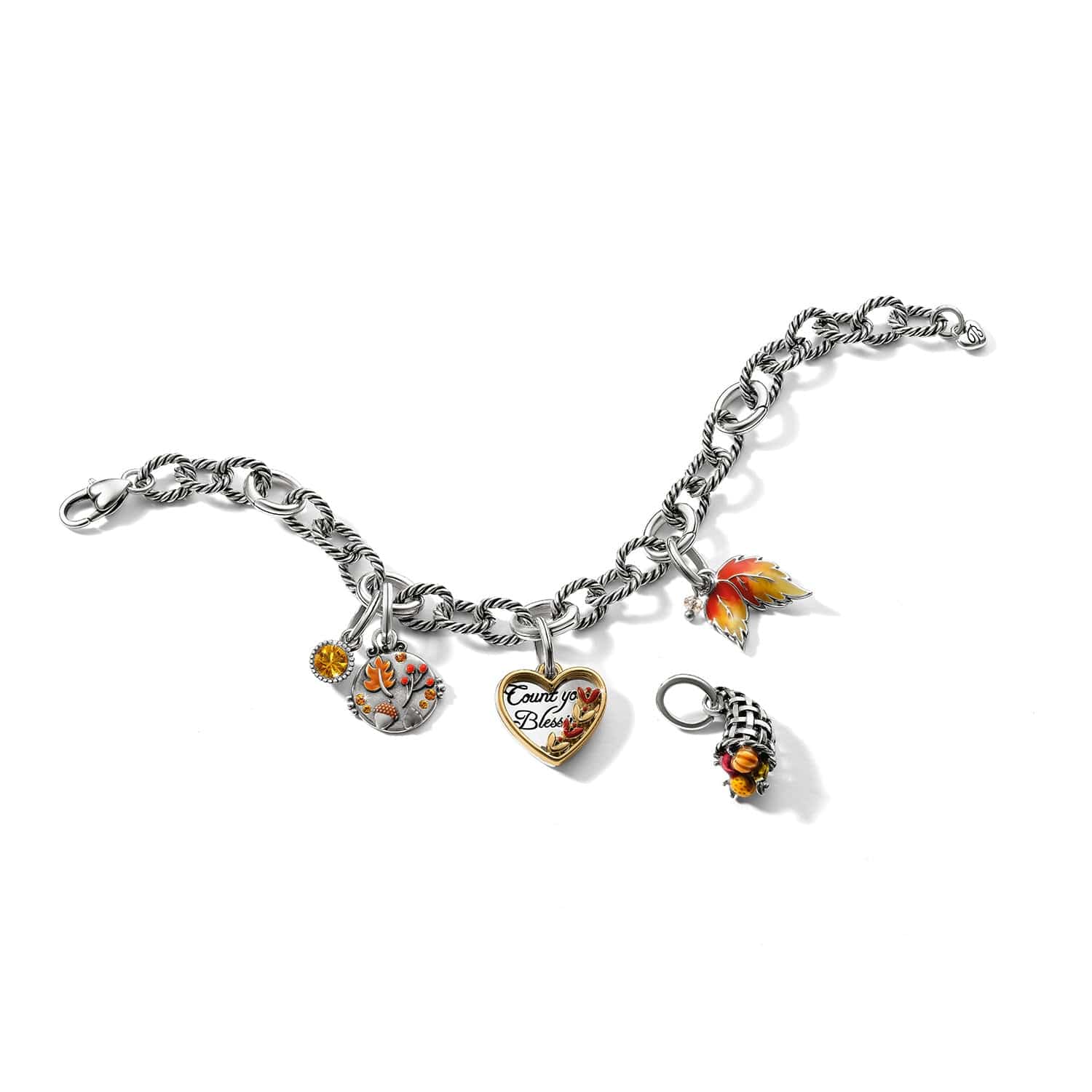 Autumn Blessings Charm silver-multi 3