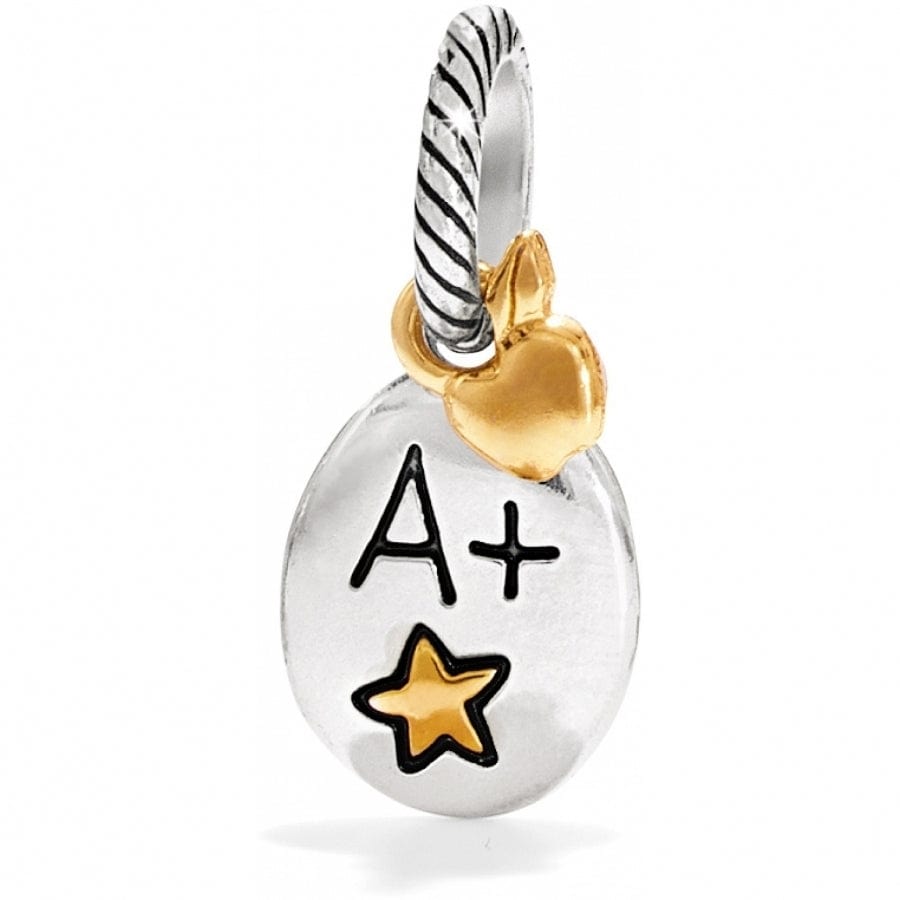 Best Teacher Charm silver-gold 1