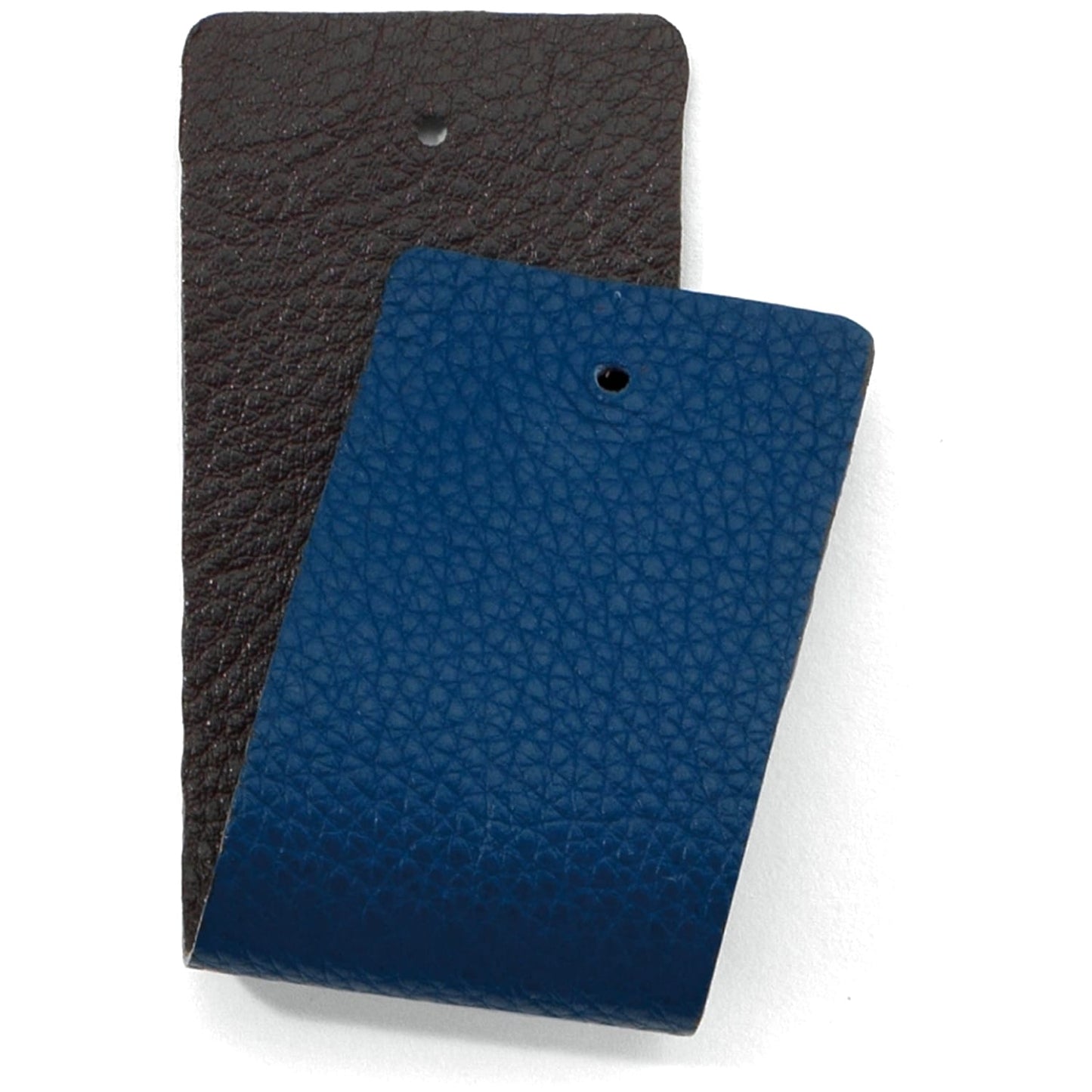 Brighton leather swatches in dark brown and blue with pebbled texture and punched holes on a white background