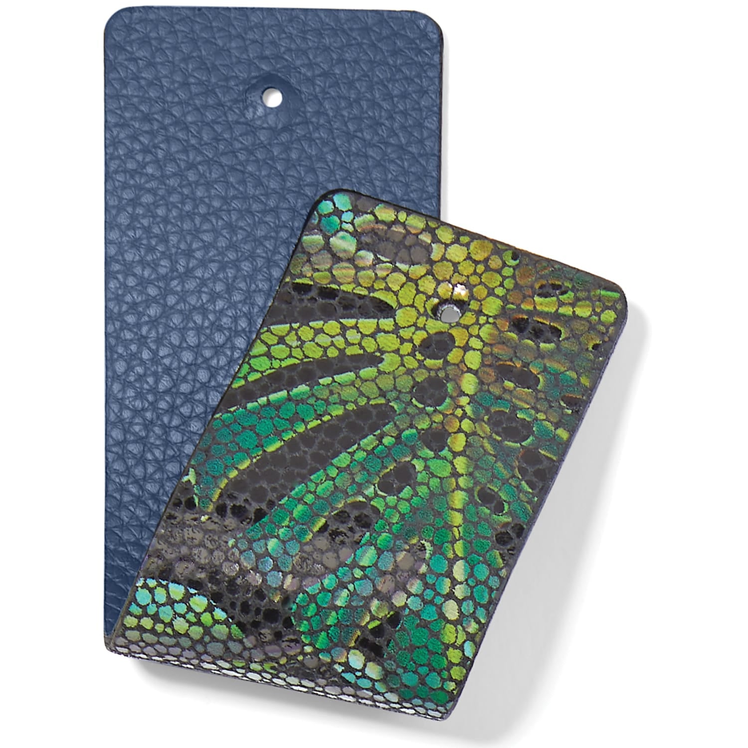 Brighton leather swatches in navy pebbled texture and green iridescent snake-print finish on a white background