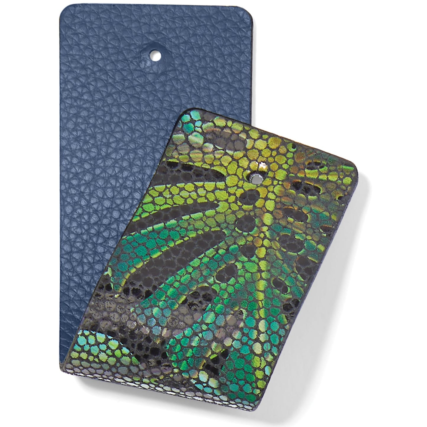 Brighton leather swatches in navy pebbled texture and green iridescent snake-print finish on a white background