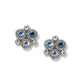 Constella Cluster Post Earrings