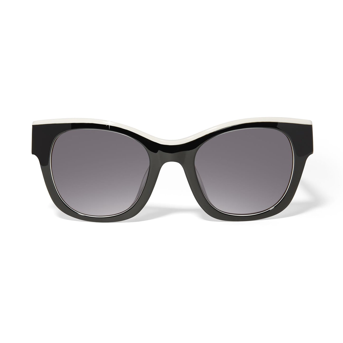 Contempo Medallion Dual Tone Sunglasses