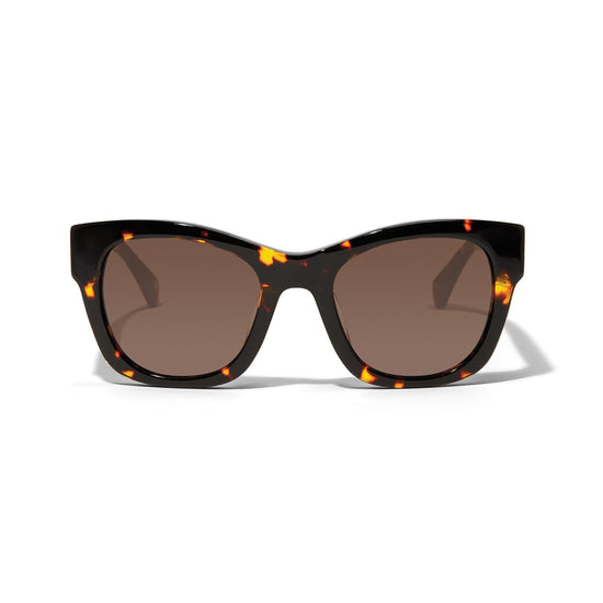 Contempo Medallion Aviator Sunglasses - Brighton main image 0