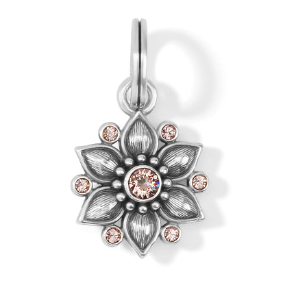 Brighton flower charm with silver-plated petals and pink crystal accents surrounding a central stone on a white background