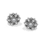 Brighton stud earrings with silver-plated floral design and crystal centers surrounded by petals on a white background