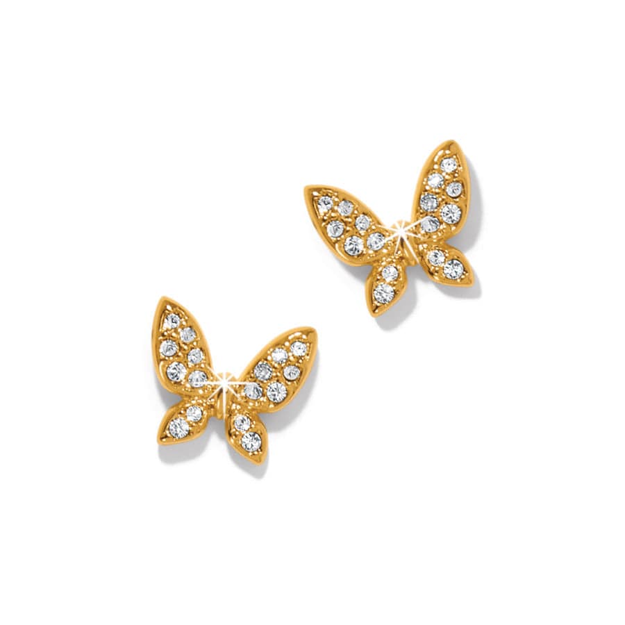 Enchanting Butterfly Post Earrings gold 1