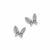 TAI CZ Butterfly Post Earrings