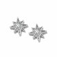 Enchanting Star Post Earrings