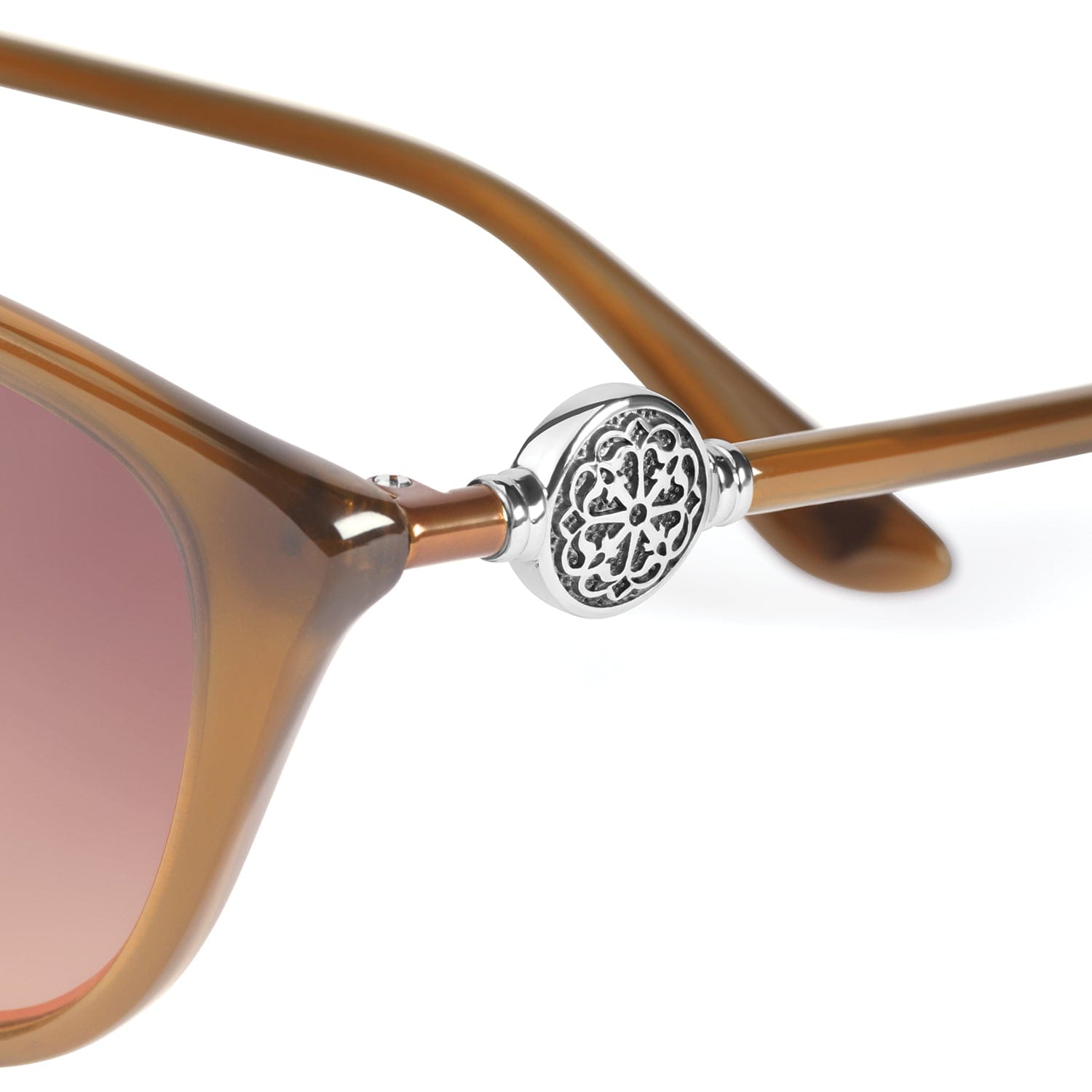 Ferrara Sunglasses - Brighton