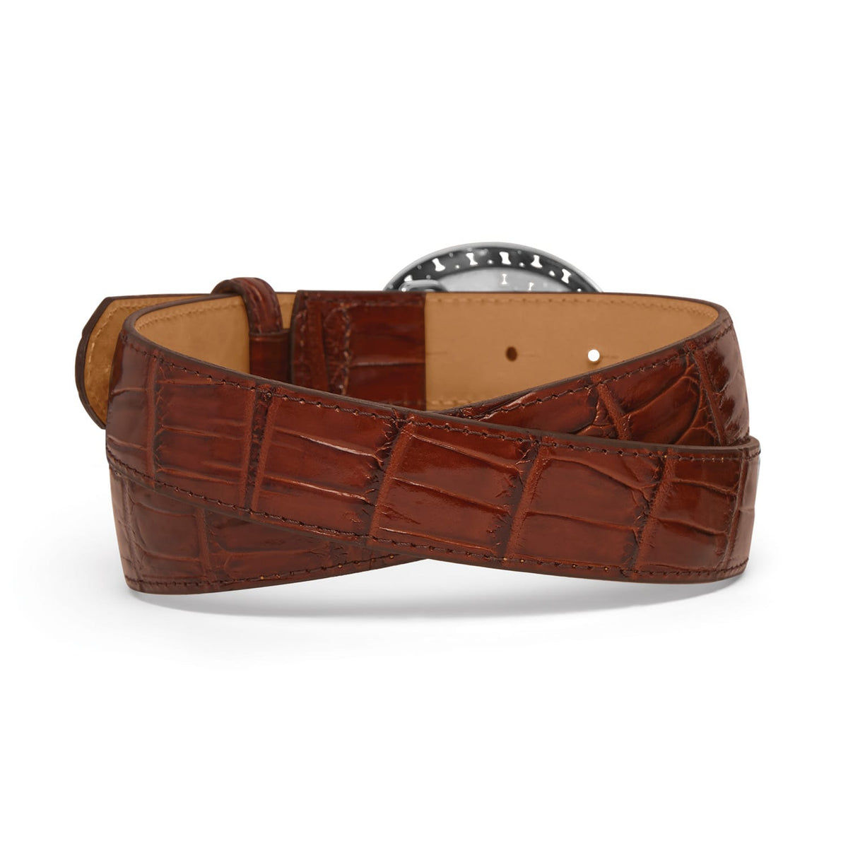 Brighton brown leather belt shown from the back with crocodile-embossed texture and stitched edges on a white background