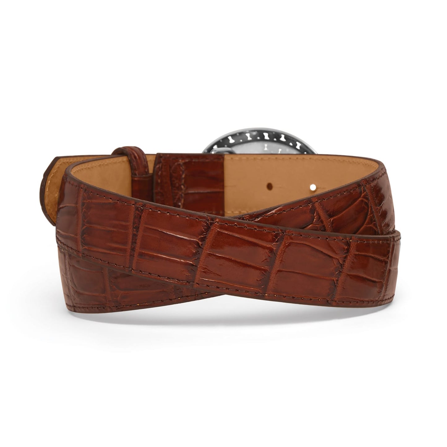 Brighton brown leather belt shown from the back with crocodile-embossed texture and stitched edges on a white background
