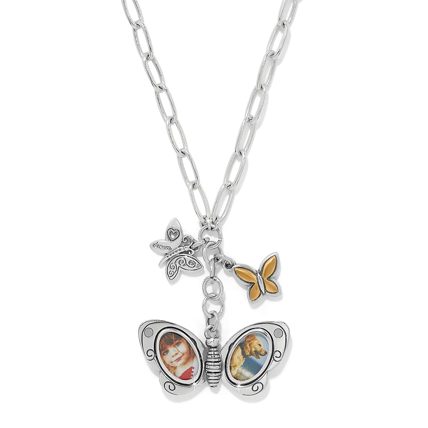 Forever Butterfly Locket Necklace silver-gold 2