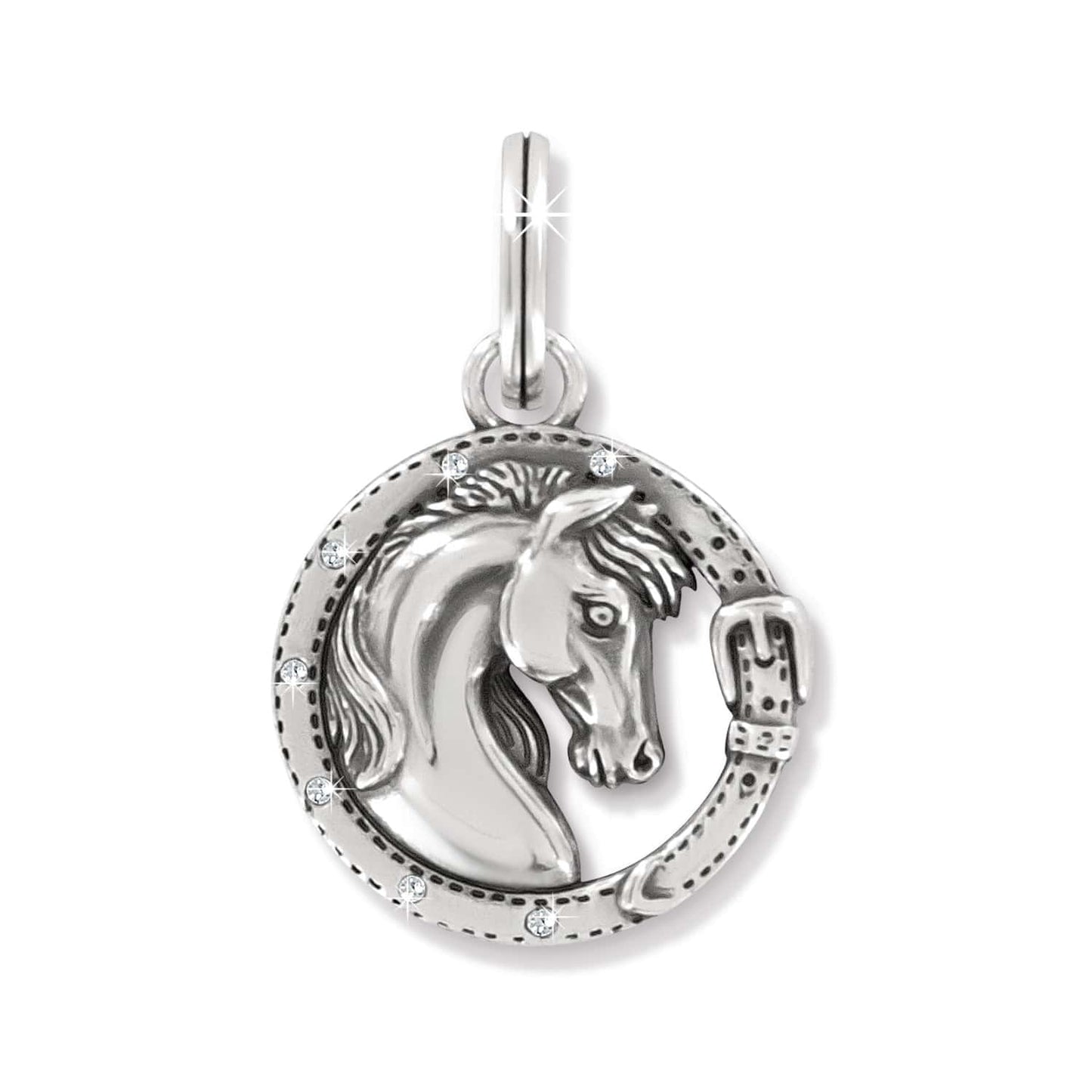 Gallop Charm - Brighton