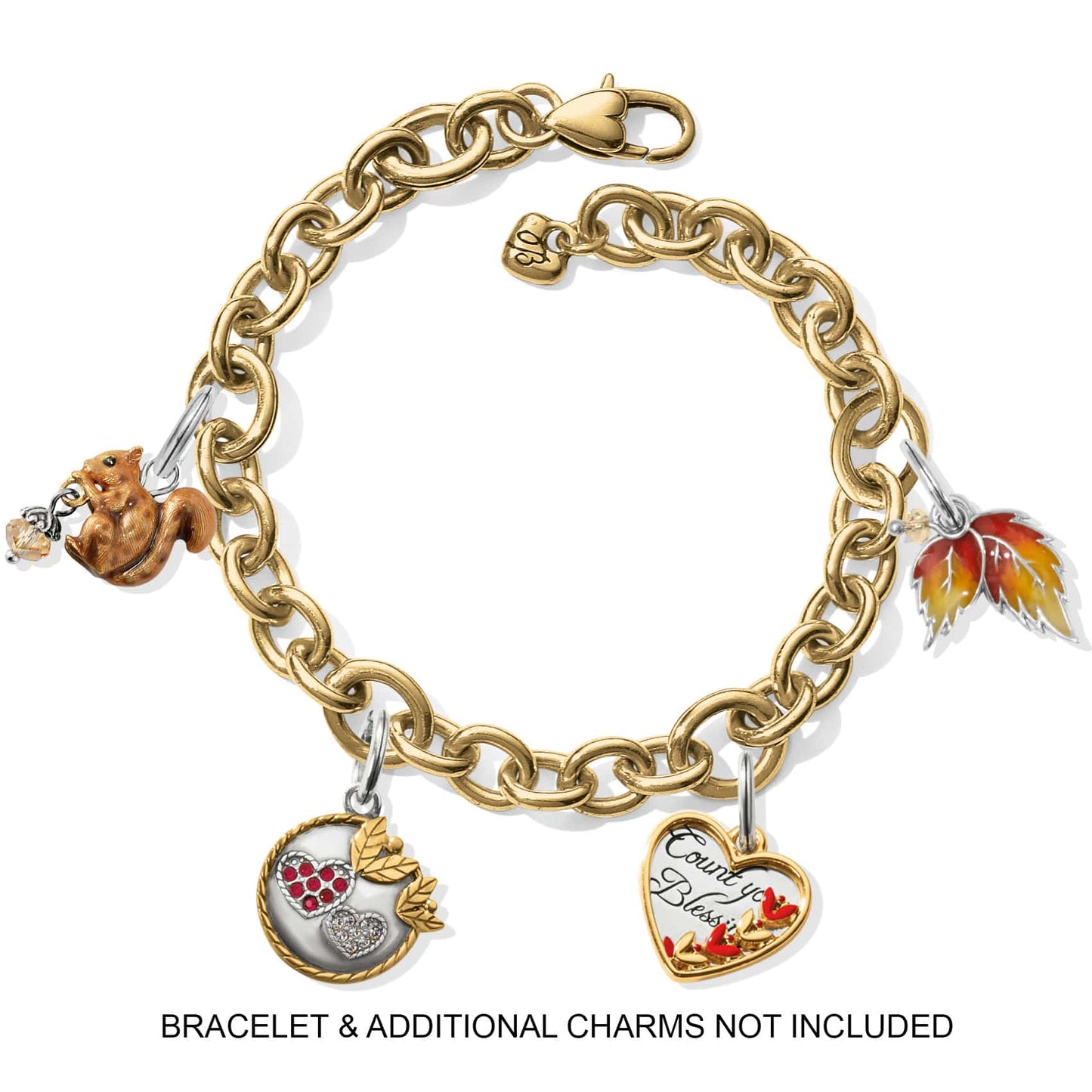 Brighton two tone charm bracelet with enamel squirrel, autumn leaf, heart, and blessings charms on a white background