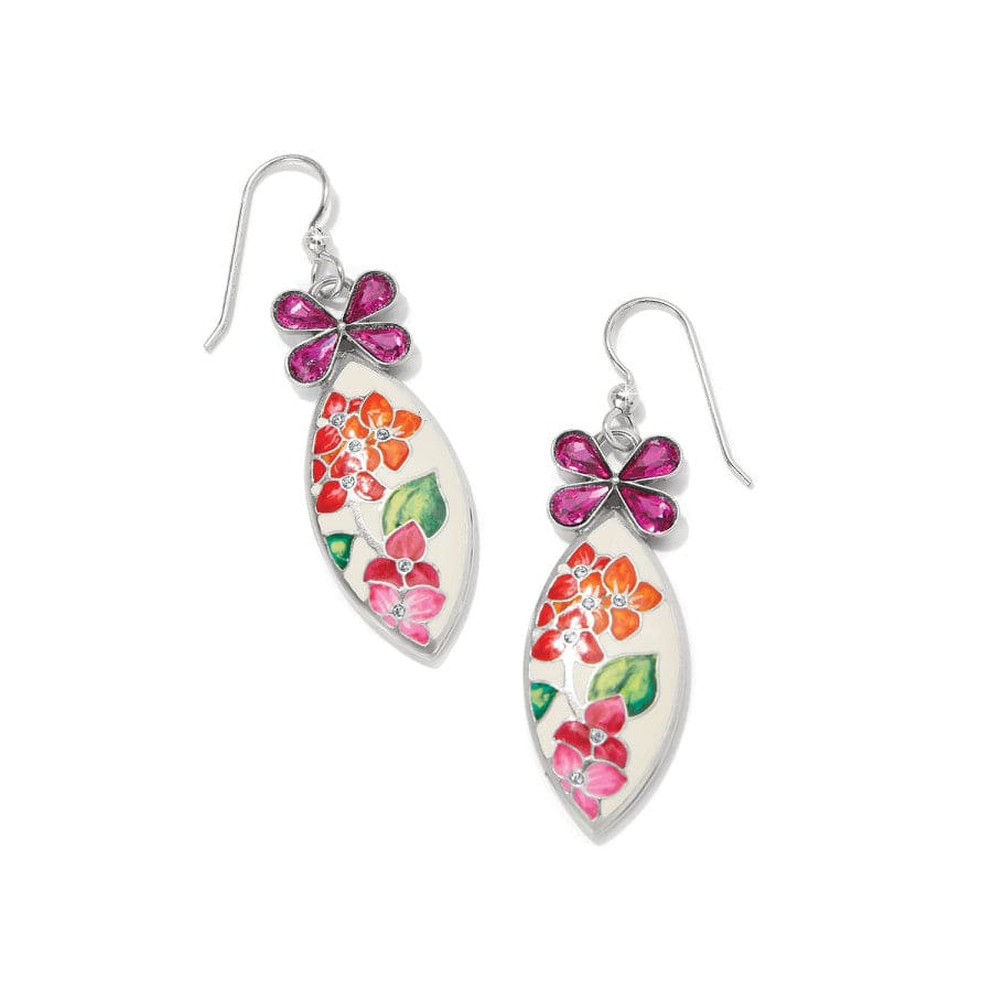 Butterflies & Flowers