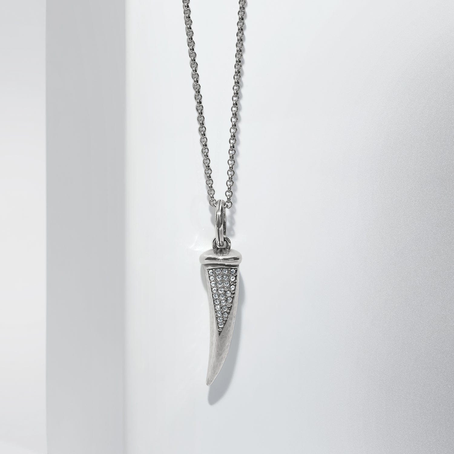 Horn Amulet Necklace Gift Set silver 1