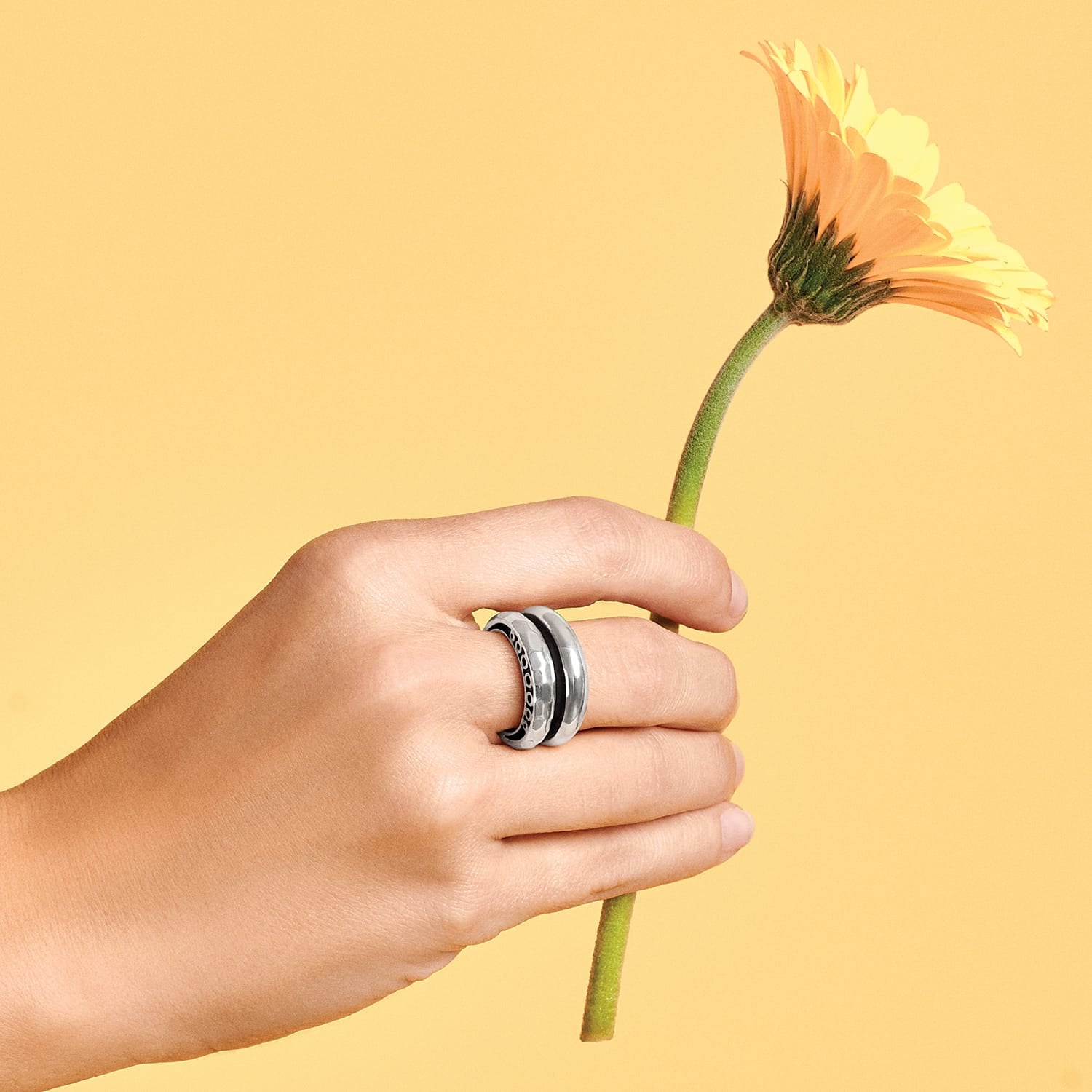 Inner Circle Double Ring silver 4