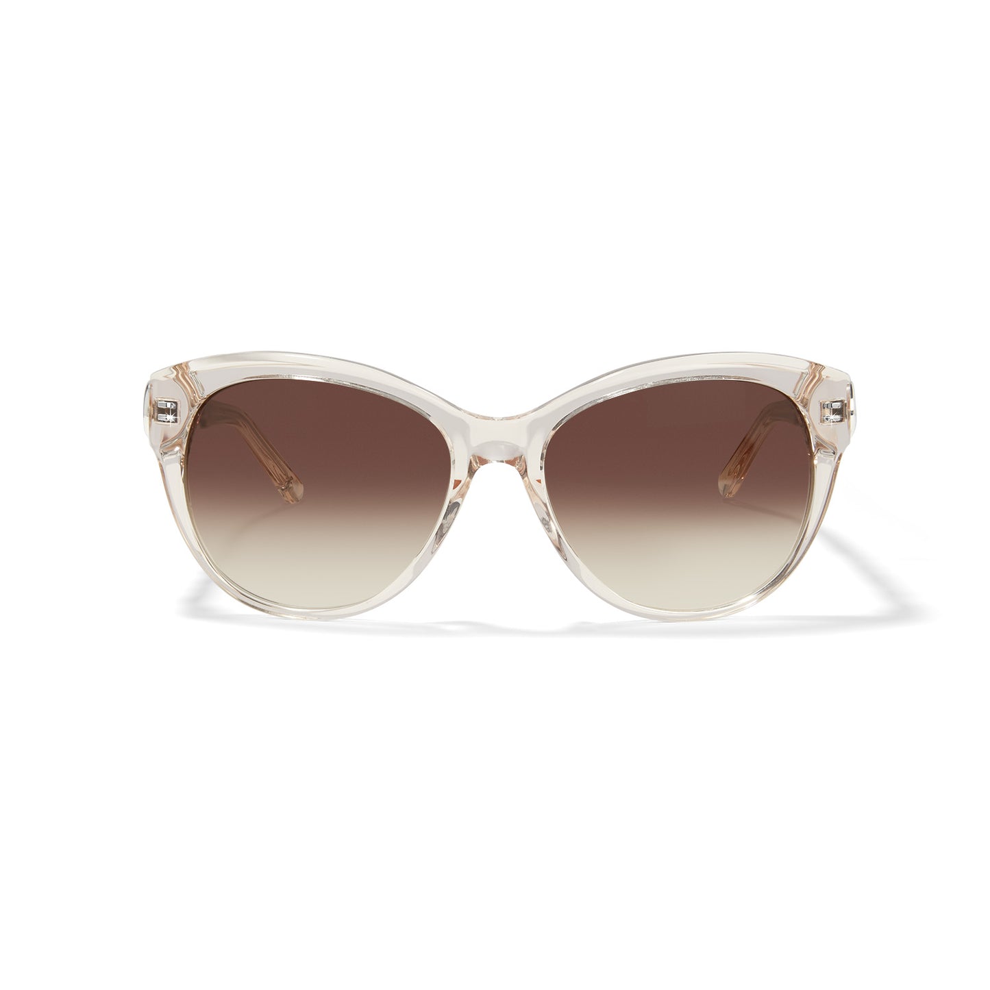 Brighton cat-eye sunglasses with clear transparent frames and brown gradient lenses on a white background