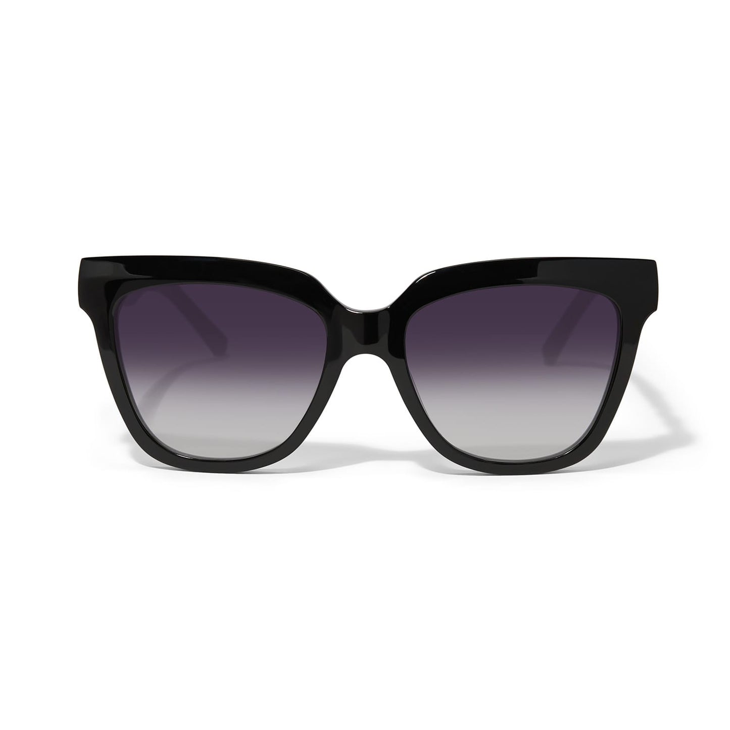 Brighton sunglasses with black square frames and gradient purple to gray tinted lenses on a white background