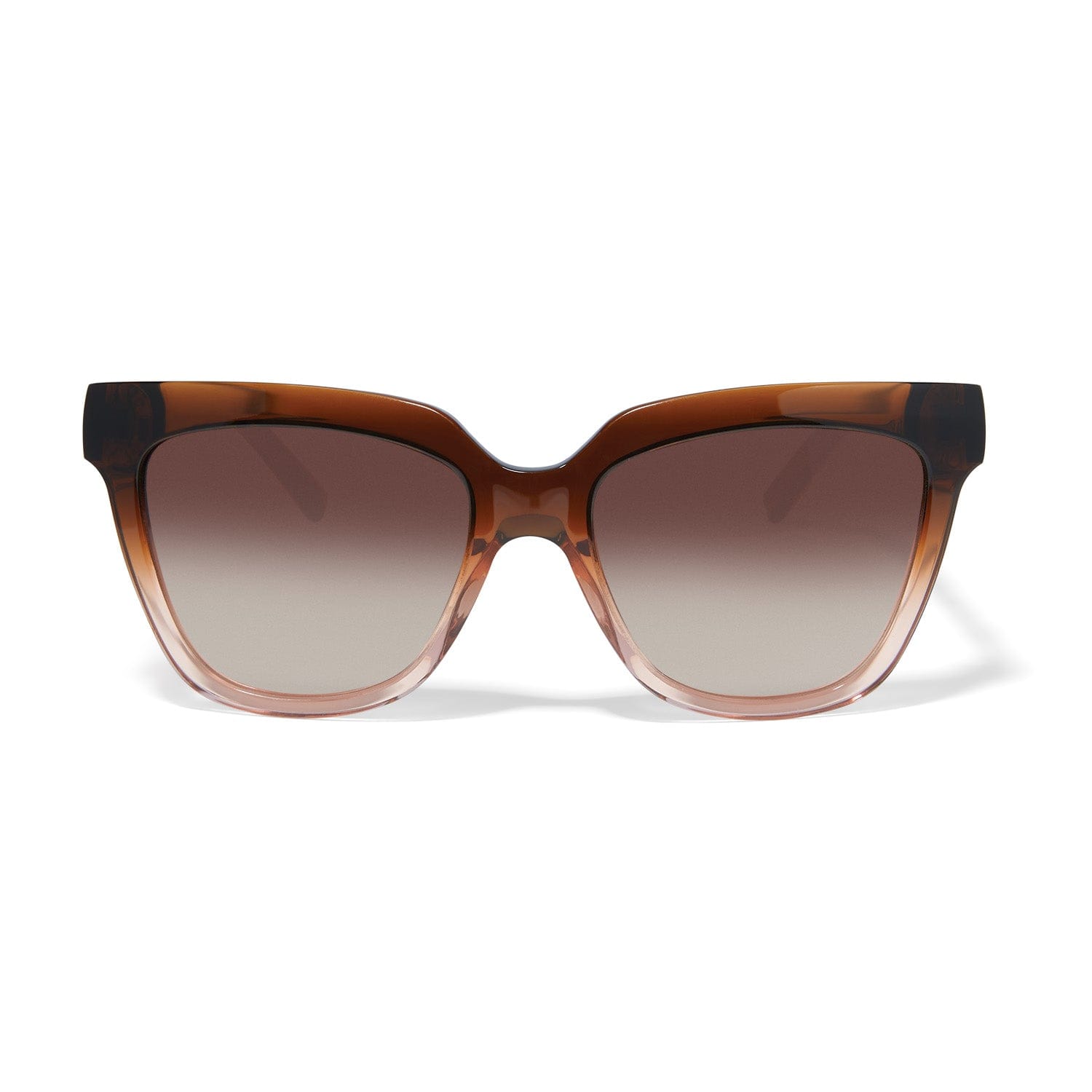 Interlok Infinity Sunglasses tortoise 2