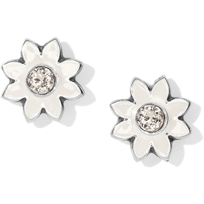 Brighton stud earrings with white enamel flower petals and crystal centers in silver-plated finish on a white background