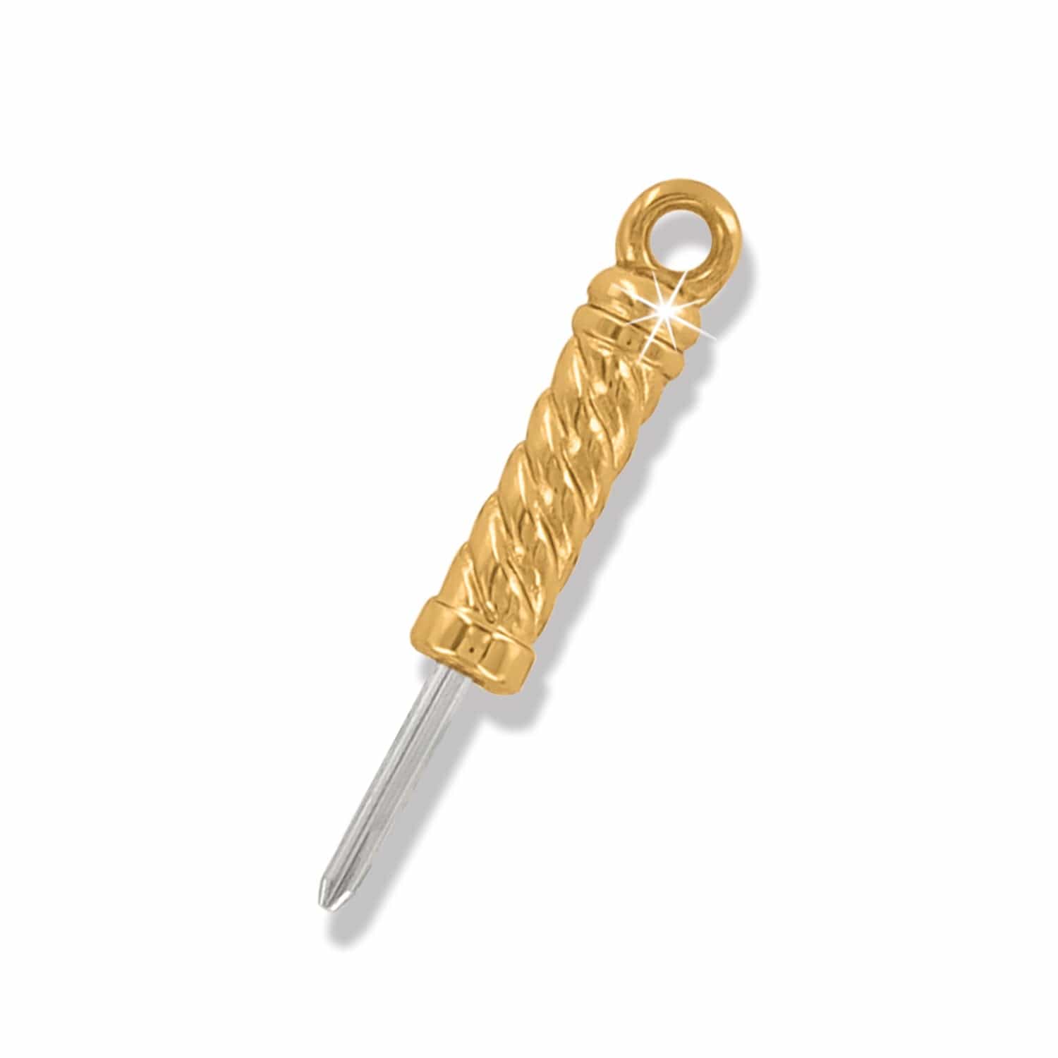 Memento Heart Golden Photo Charm