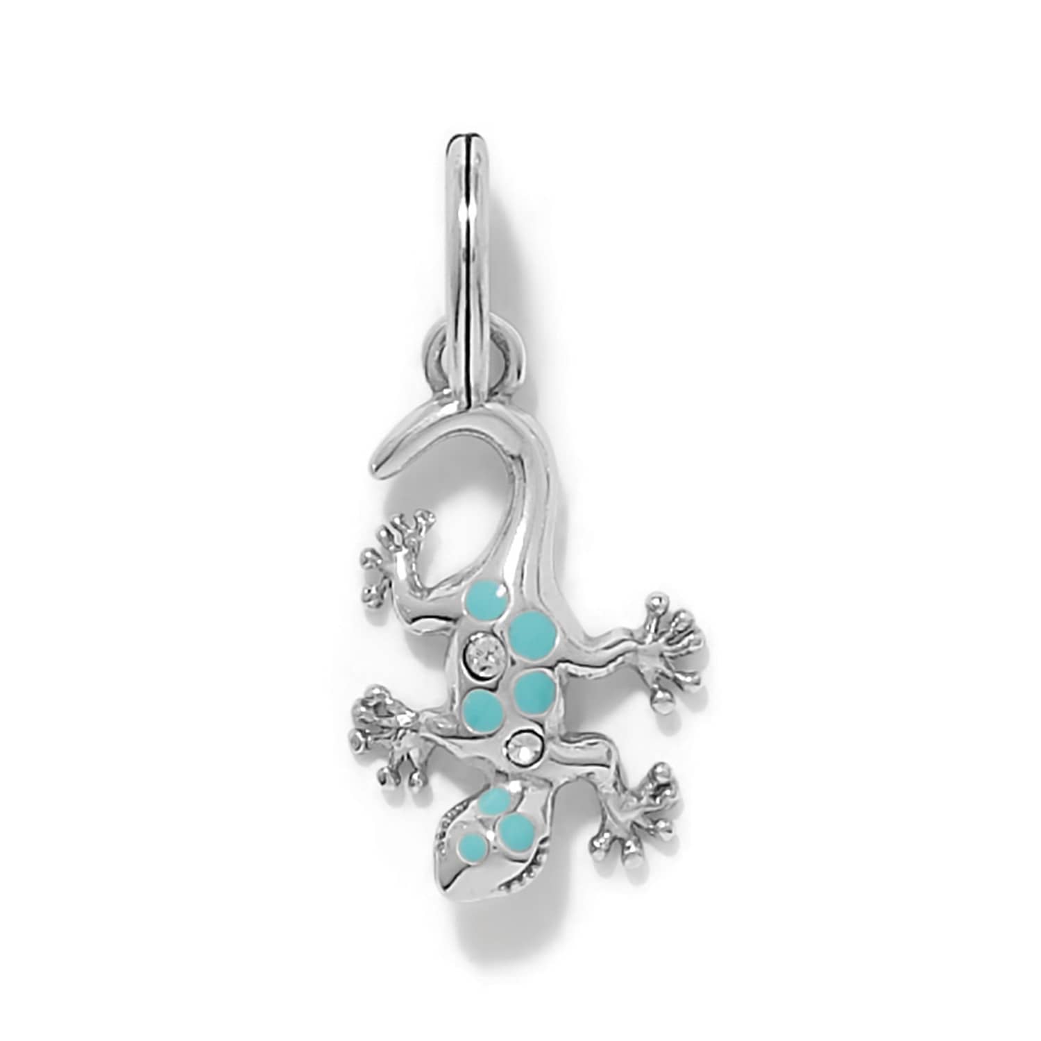 Mesa Gecko Charm silver-blue 1