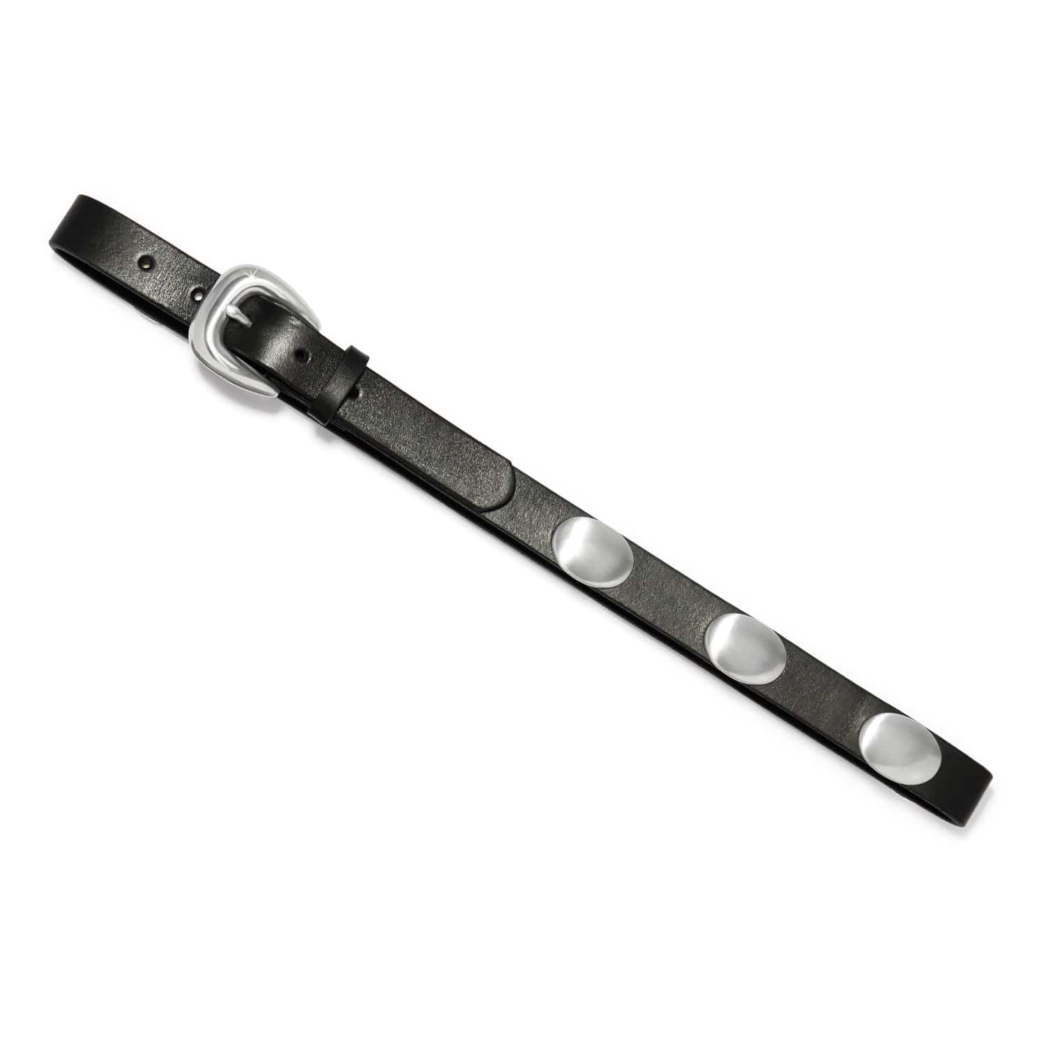 Midnight Shine Belt black 3