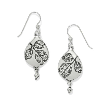 Natura Teardrop French Wire Earrings