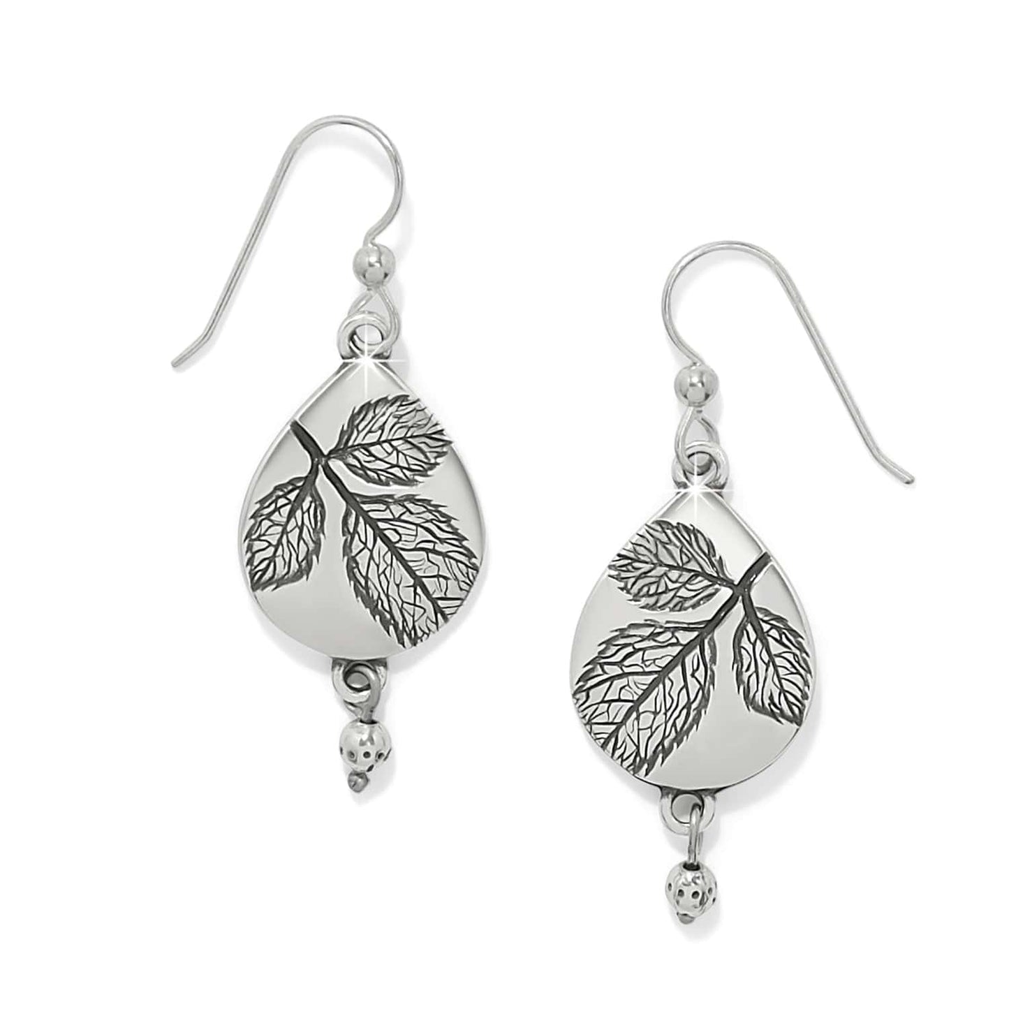 Natura Teardrop French Wire Earrings