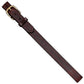 Brighton brown leather belt with gold-tone buckle, stitched edges, and textured center detail on a white background