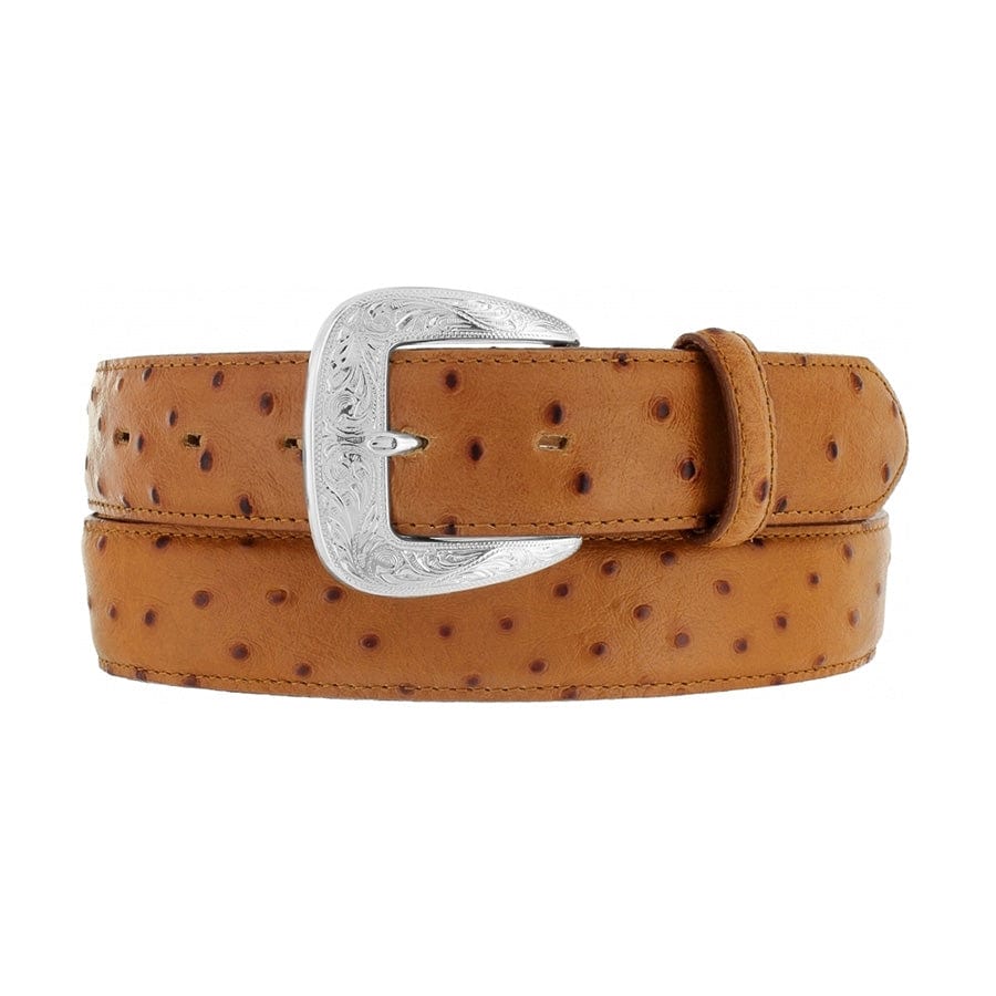 Ostrich Print Dress Belt brown 4