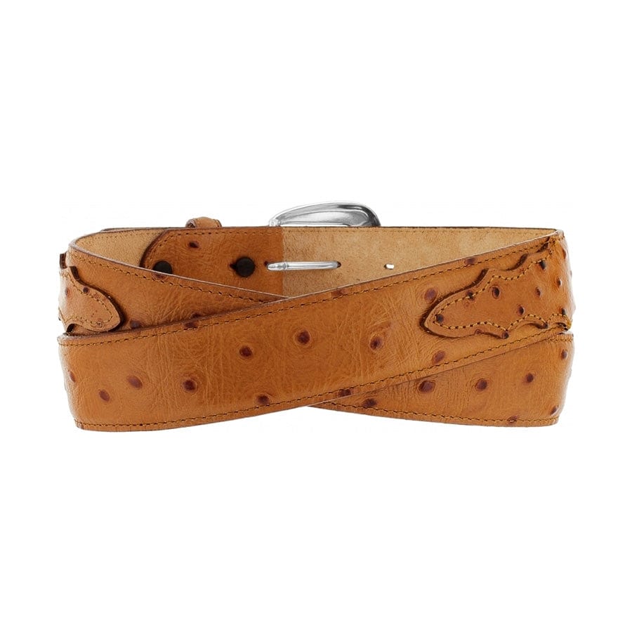 Ostrich Print Dress Belt brown 5