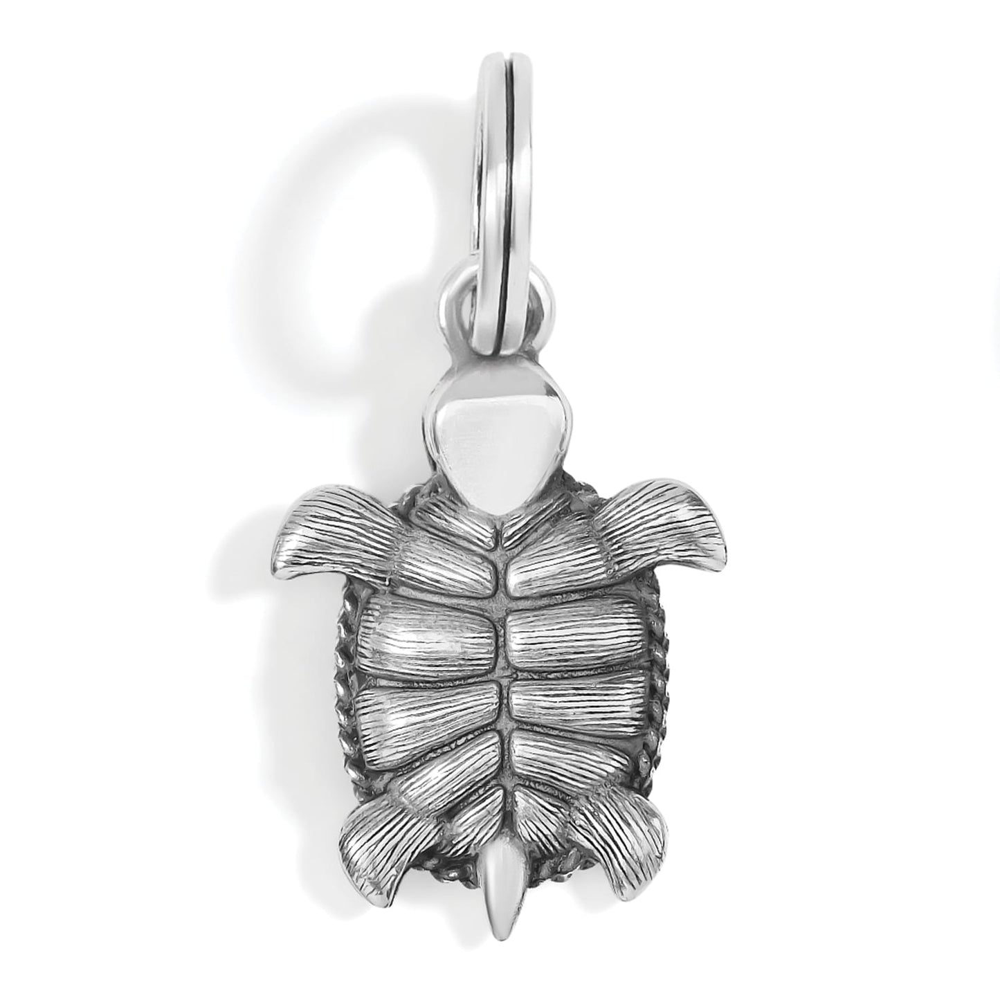 Brighton turtle charm with silver-plated finish, detailed textured shell, and split ring on a white background