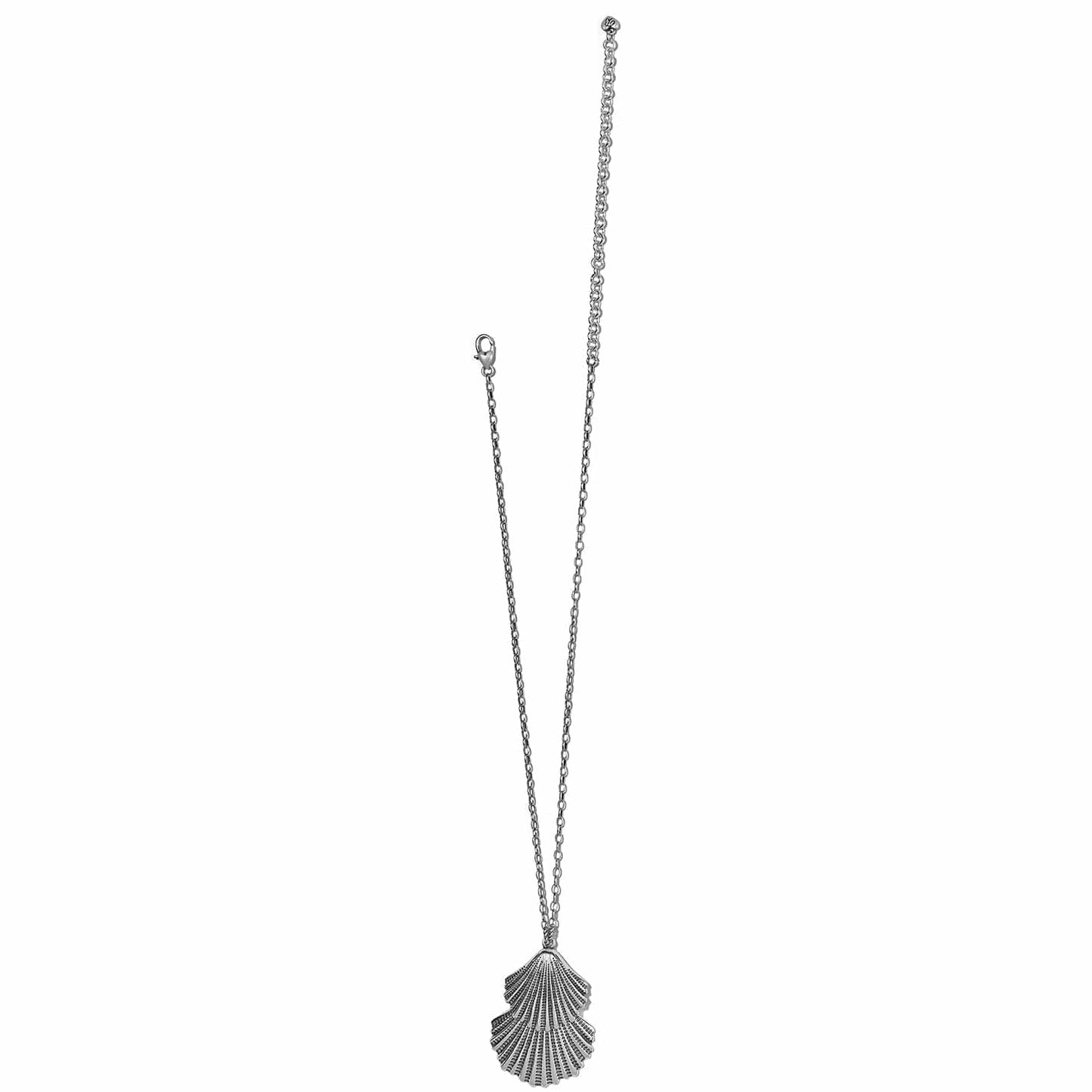 Brighton pendant necklace with silver-plated seashell charm and cable chain with lobster clasp on a white background