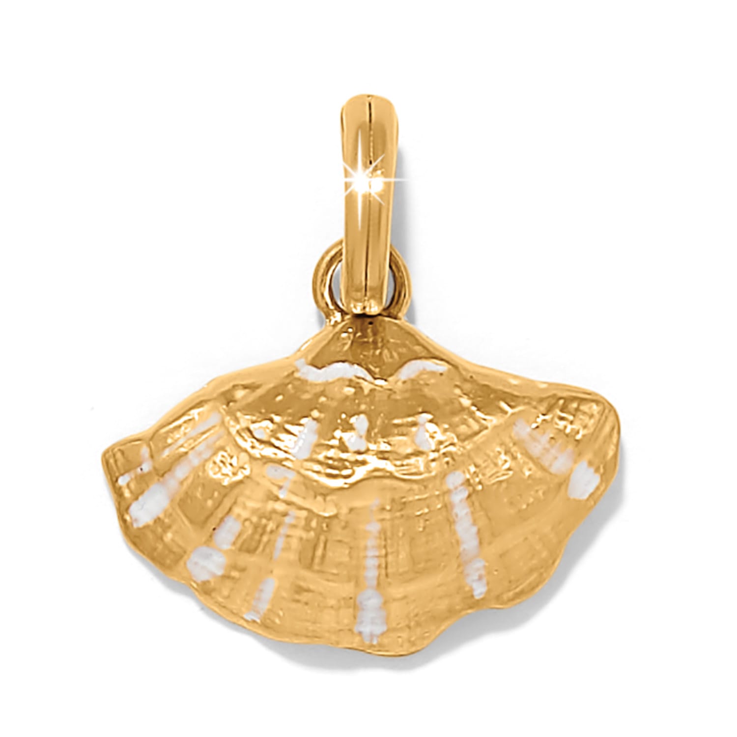 Solstice Clam Shell Charm - Brighton
