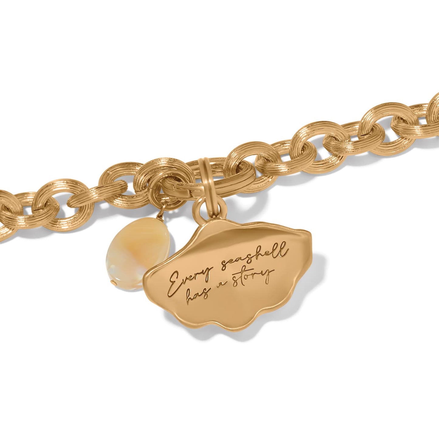 Solstice Shell Charm Bracelet