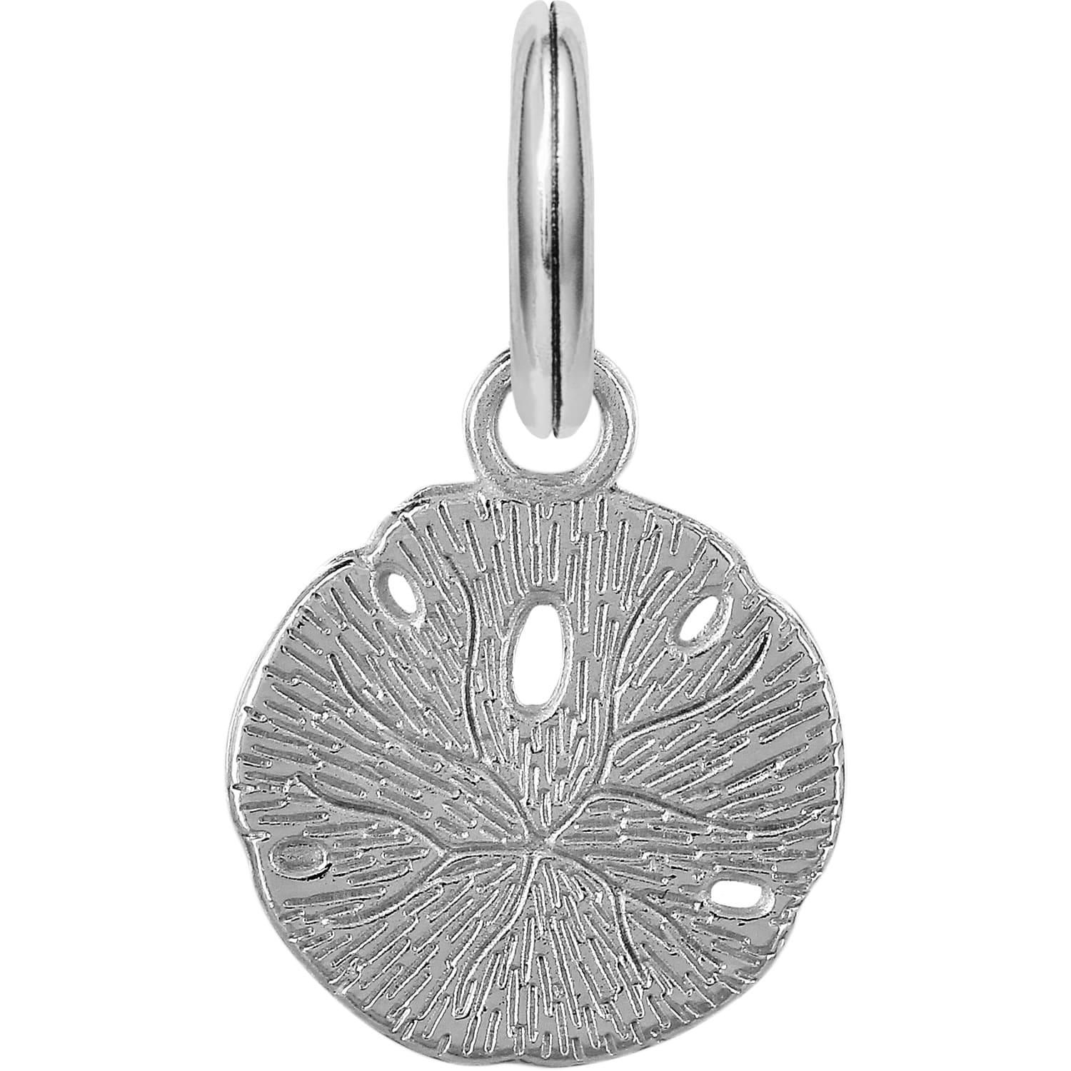 Brighton sand dollar charm with silver-plated textured finish and split ring on a white background