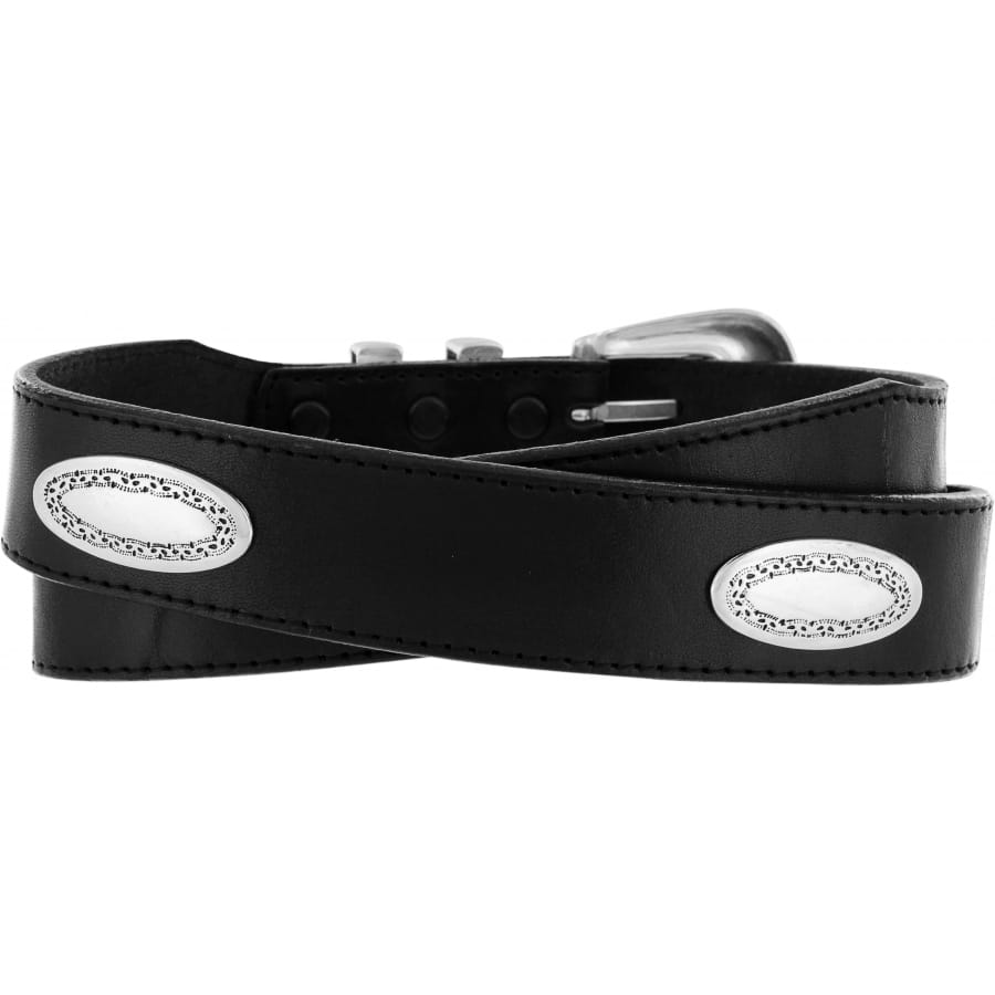 Brighton black leather belt with silver-tone oval concho accents and buckle closure on a white background