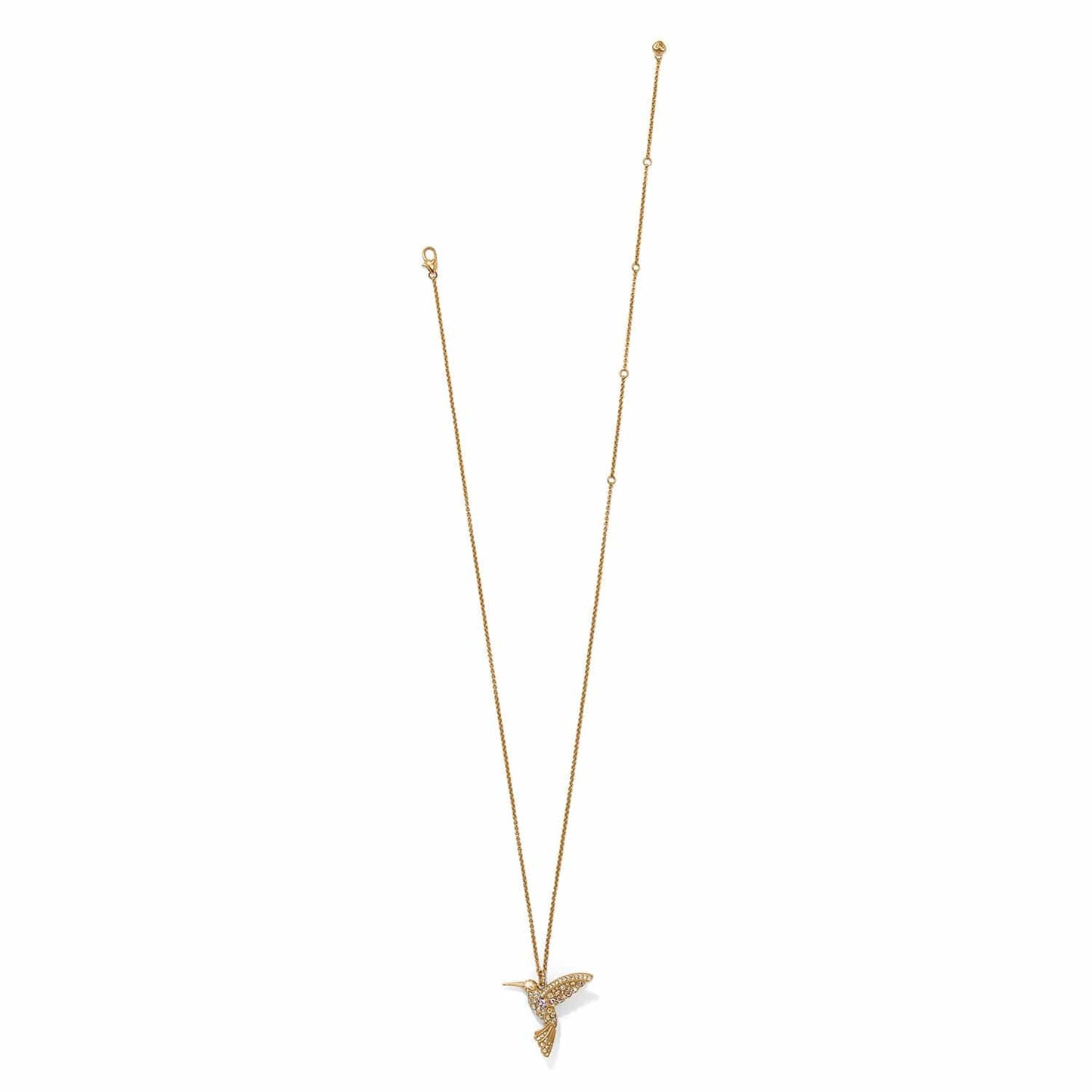 Trust Your Journey Golden Hummingbird Necklace