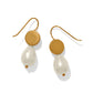 Brighton drop earrings with gold-plated discs and baroque pearl dangles on a white background