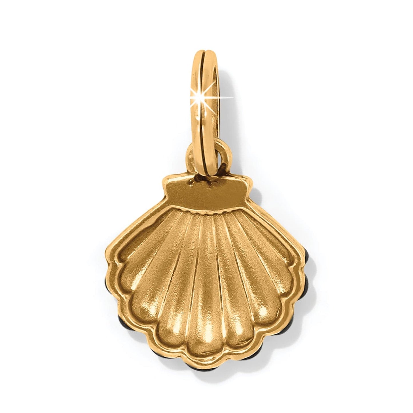 Ice Shell Charm Twilight Waters Shell Charm - Brighton