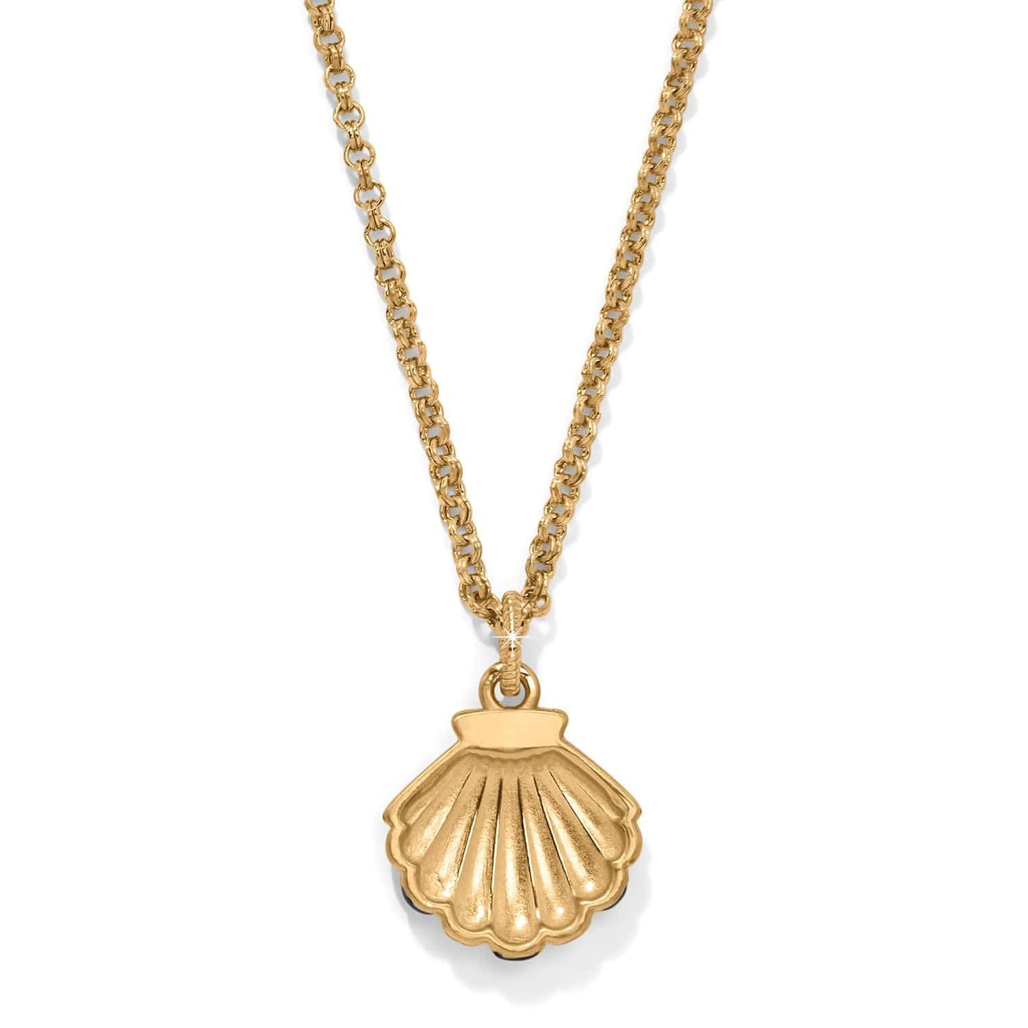 Twilight Waters Shell Necklace